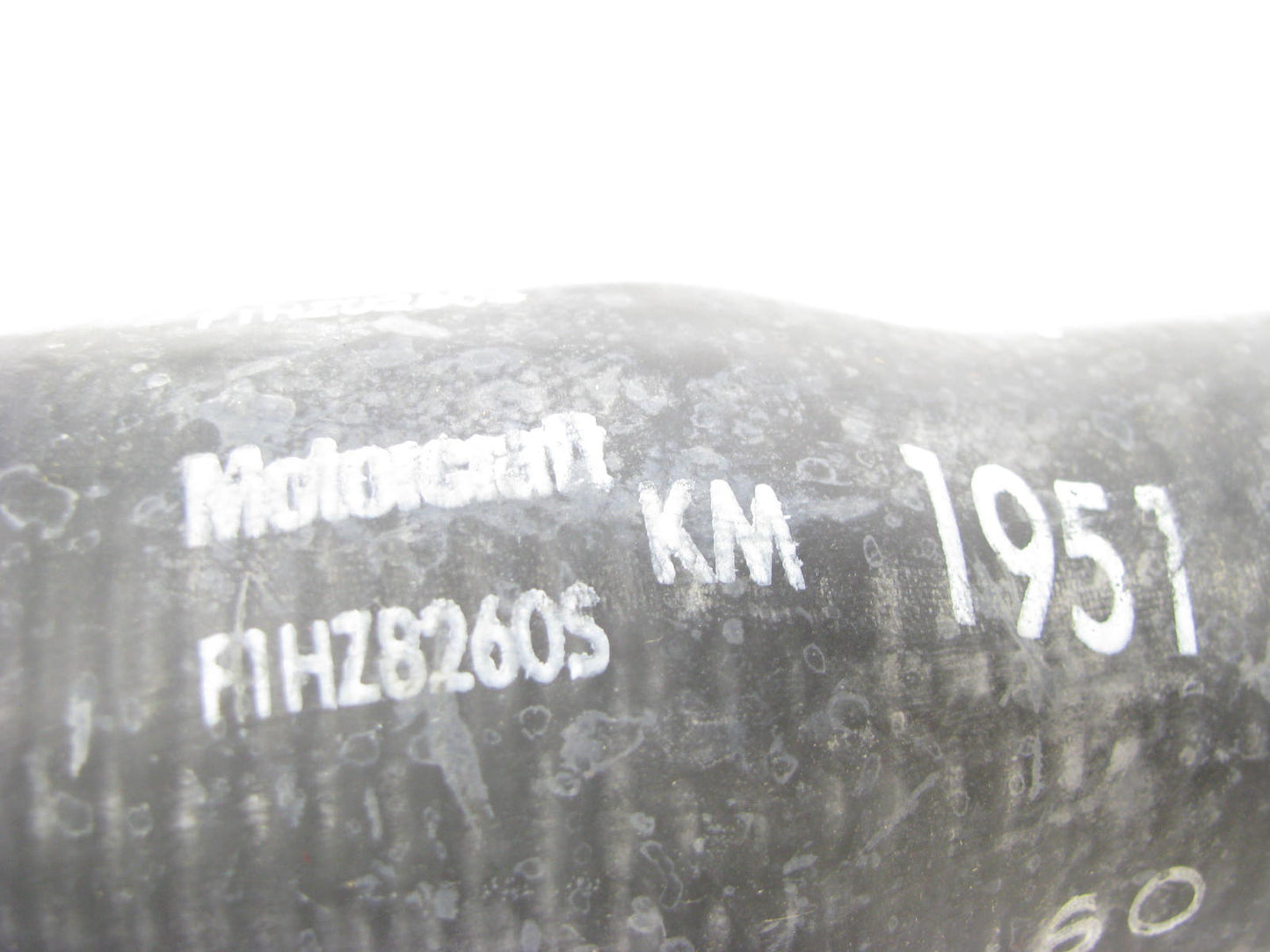 NEW OEM Motorcraft KM1951 LOWER Radiator Coolant Hose F1HZ-8260-S