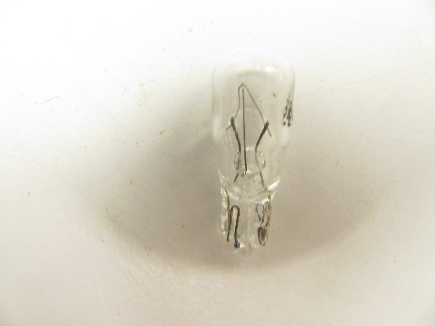 (10) Napa 24 Courtesy Side Marker Light Lamp Bulb