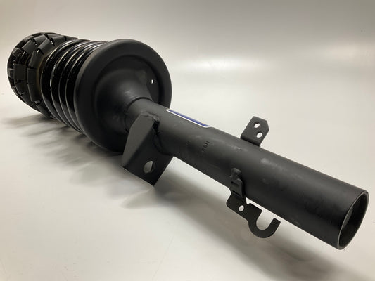 Napa LS56936 Suspension Strut Assembly, Rear