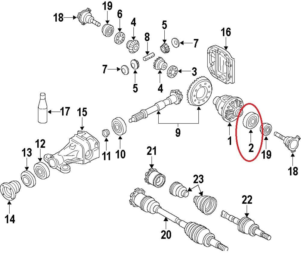 NEW - OEM Differential Carrier Bearing For Nissan 38440JF00A