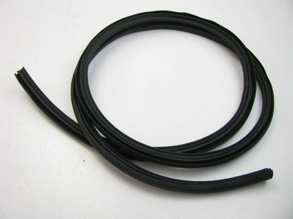 NEW - OEM Rear Right Window Weather Strip Seal For Nissan 97-99 Sentra, 200SX