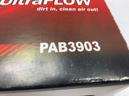 Pentius PAB3903 Engine Air Filter