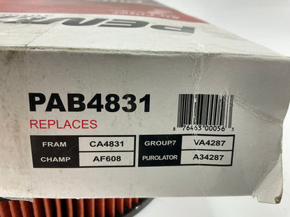 Pentius PAB4831 Engine Air Filter
