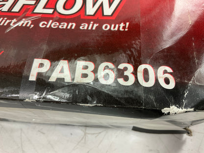 Pentius PAB6306 Engine Air Filter