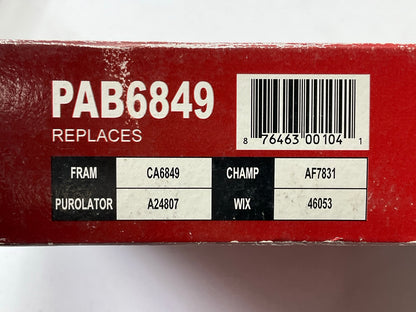 Pentius PAB6849 Engine Air Filter