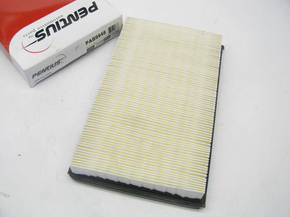 Pentius PAB9948 Engine Air Filter