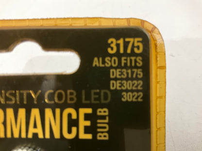 Pilot ILC3175PB High-Intensity Cob LED Performance Light Bulb # 3175, 50,000 HRS