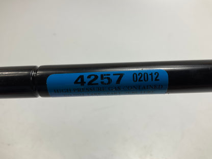 (2) Professionals Choice 4257 Hood Lift Support Shock Strut For 1999-2004 300M