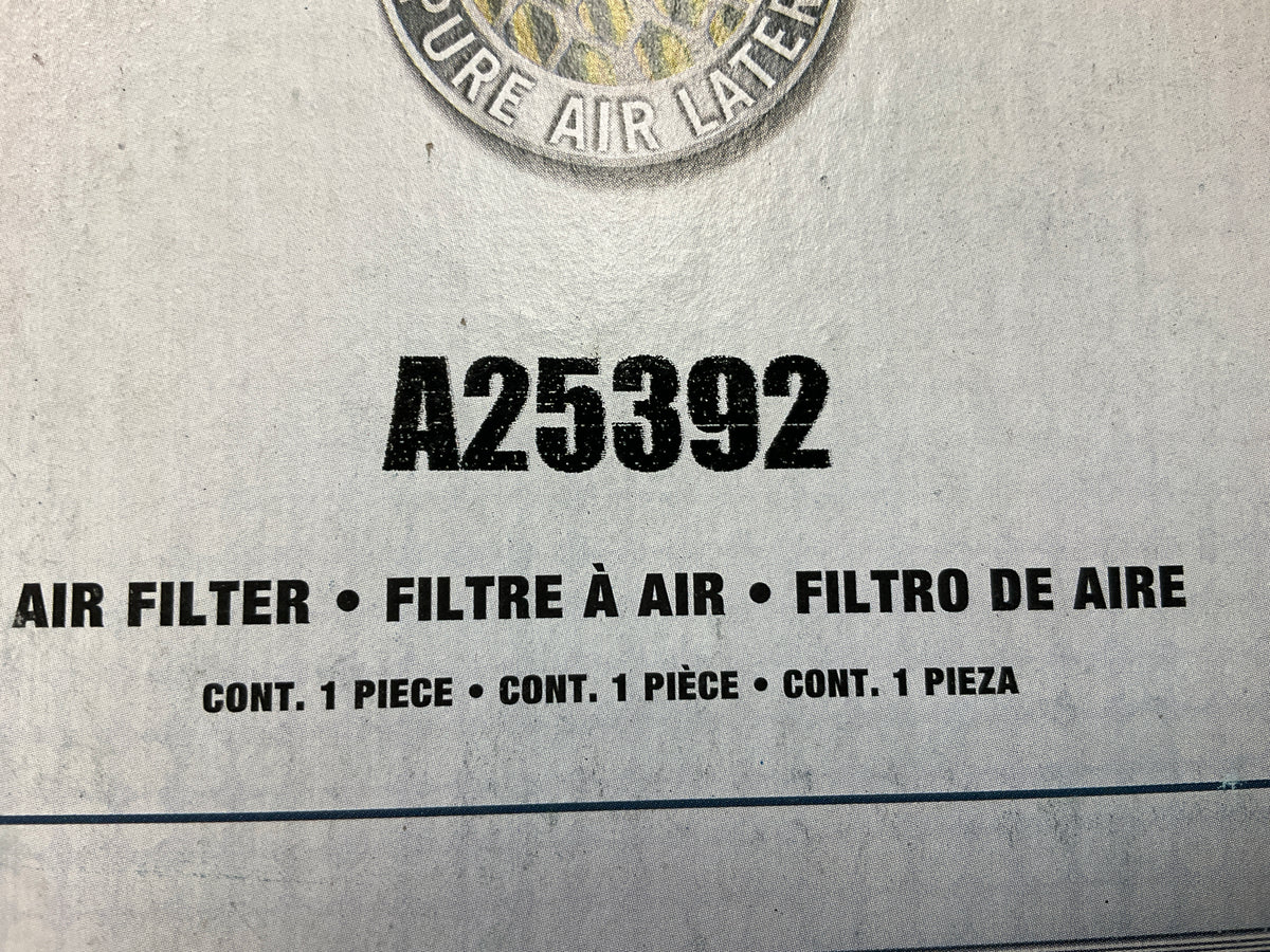 Purolator A25392 Engine Air Filter For 2000-2006 Honda Insight
