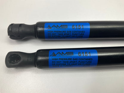 (2) Rhino Pac 6151 Hatch Lift Support Shock Strut