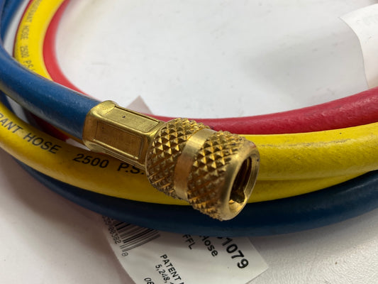 Robinair 30072 Yellow, Blue, Red Standard Hose Set, 72'' Length, 1/4''