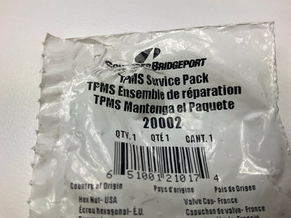 Schrader 20002 TPMS Tire Pressure Monitor Sensor Service Kit