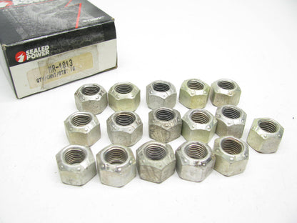 (16) Sealed Power MR-1813 Engine Rocker Arm Nuts