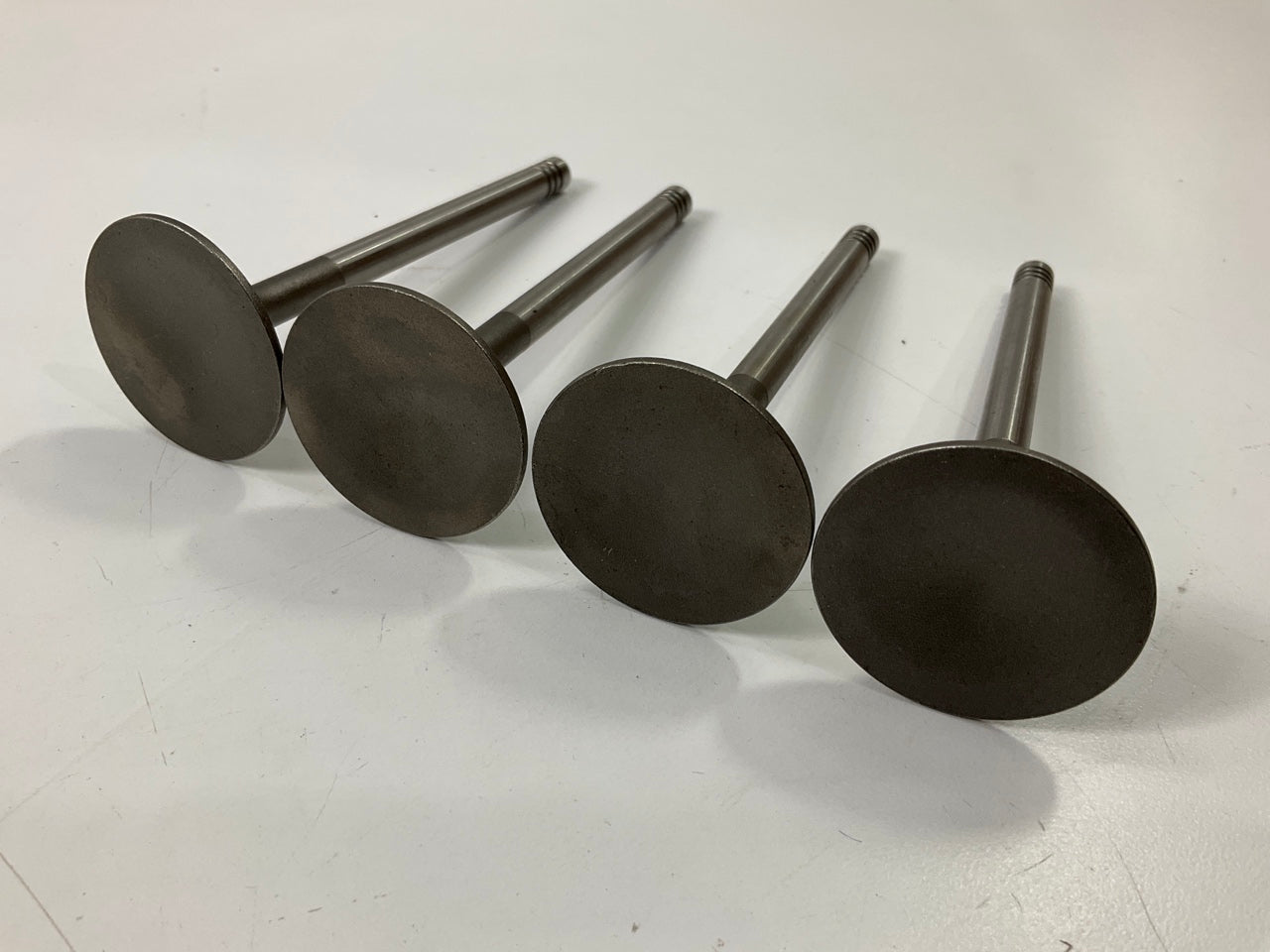 (4) Sealed Power V-2177 Engine Intake Valves - 1974 VW 1.8L  1.608'' Diameter
