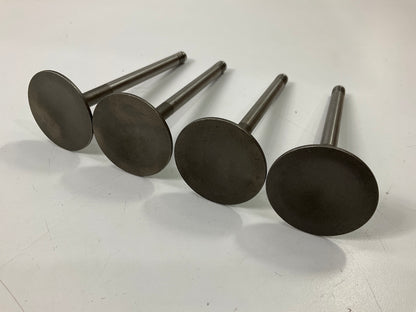 (4) Sealed Power V-2177 Engine Intake Valves - 1974 VW 1.8L  1.608'' Diameter