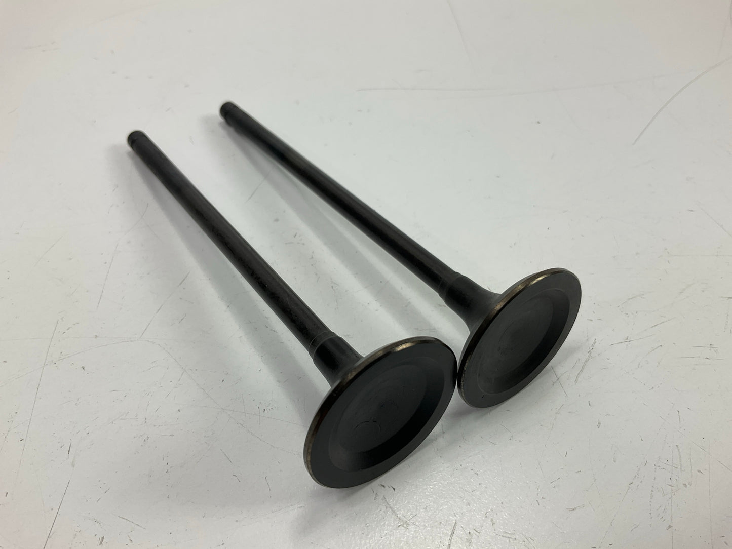 (2) Sealed Power V4561  Engine Exhaust Valves