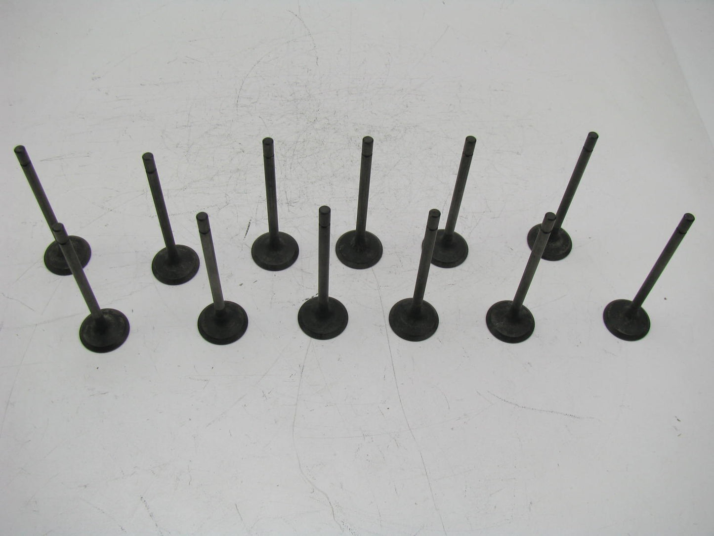 (12) 021-3356 Engine Exhaust Valves For 1992-1994 Maxima 3.0L VE30DE V6