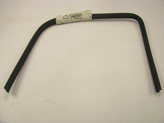 NEW - OUT OF BOX OEM GM 25794891 Rear Left Door Window Weatherstrip Seal