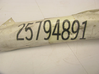 NEW - OUT OF BOX OEM GM 25794891 Rear Left Door Window Weatherstrip Seal
