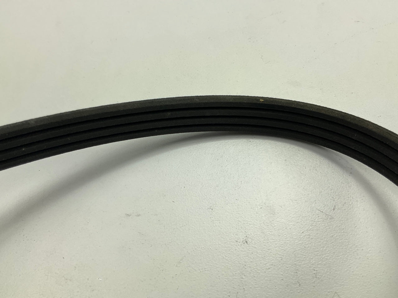 PRIVATE LABEL - 4PK0595 Serpentine Belt