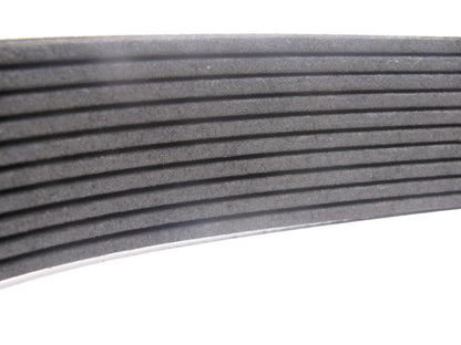 NEW Private Label 580K10 Serpentine Belt