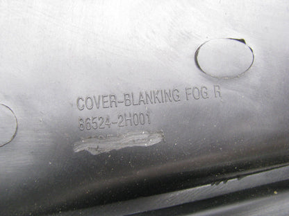 NEW - AFTERMARKET 86524-2H001 Fog Light Blank Hole Cover For 2006-2010 Elantra