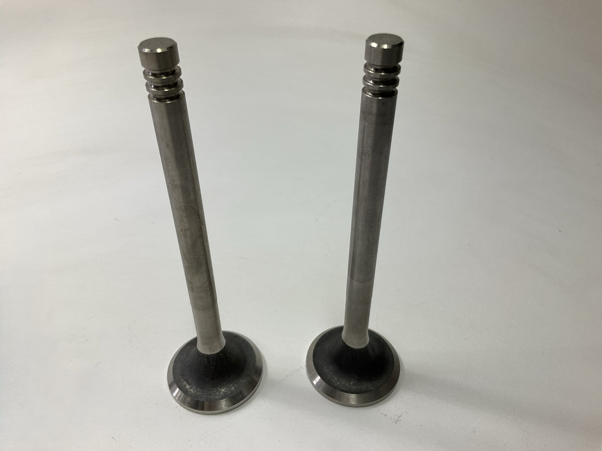 OUT OF BOX - P-105-2 Exhaust Valves For 1975-76 VW Beetle, 1974 Super Bettle