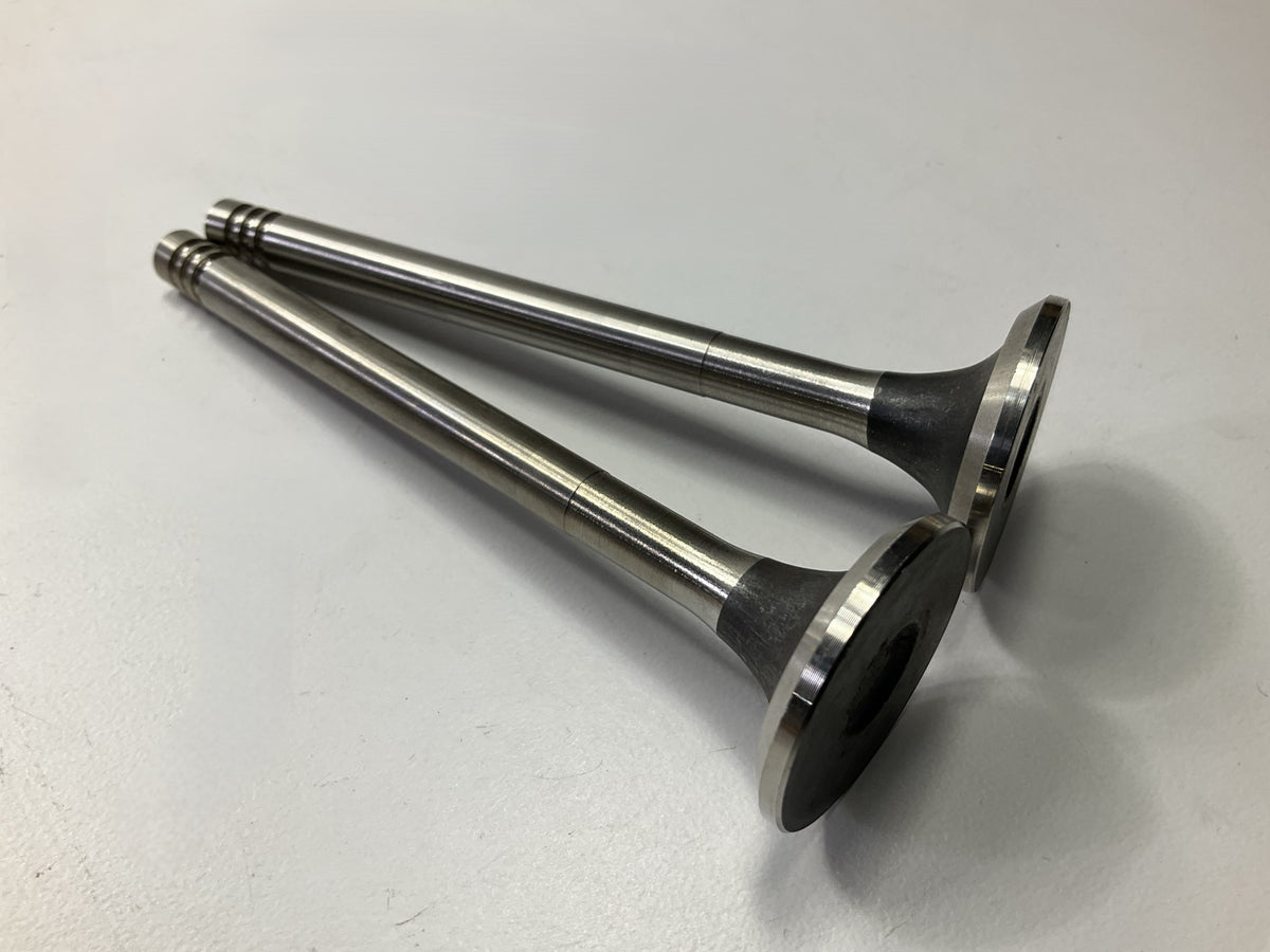 OUT OF BOX - P-105-2 Exhaust Valves For 1975-76 VW Beetle, 1974 Super Bettle