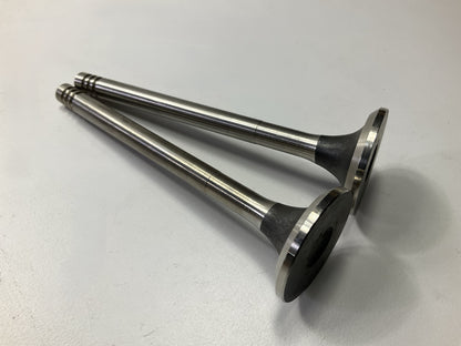 OUT OF BOX - P-105-2 Exhaust Valves For 1975-76 VW Beetle, 1974 Super Bettle