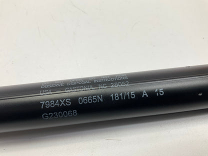 (2) Stabilus SG230068 Liftgate Hatch Lift Support Shock Strut