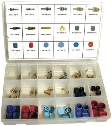 TSI Supercool 13722 Universal A/C Valve Core & Cap Assortment