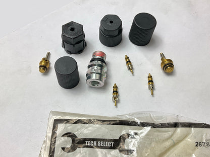 Tech Select 26782 A/C System Valve Core And Cap Kit