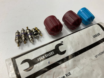 Tech Select 26826 A/C System Valve Core And Cap Kit