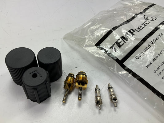 Temp Select 26779 A/C System Valve Core And Cap Kit