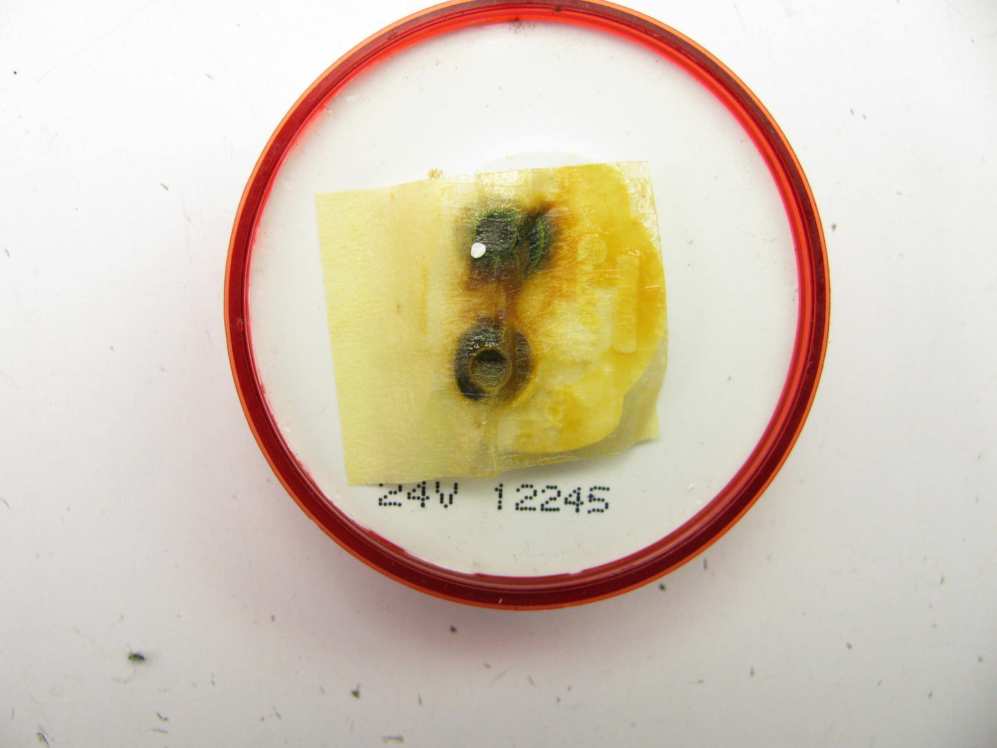 (9) TRUCK-LITE 10204R - 10 Series Marker Clearance Light - Incandescent