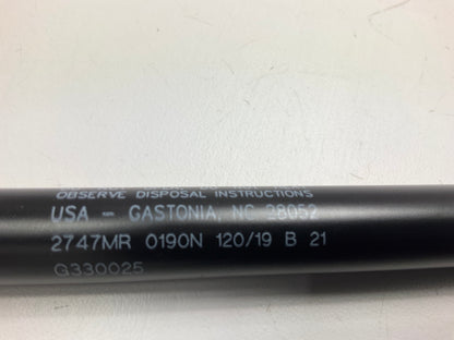 TRW TSG330025 Back Glass Lift Support Shock Strut