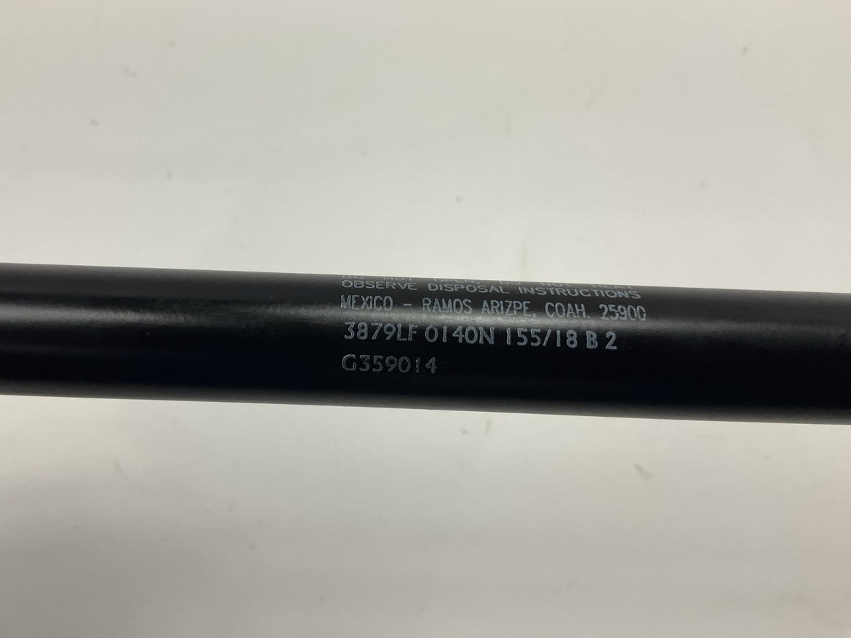 (2) TRW TSG359014 Door Lift Support Shock Strut