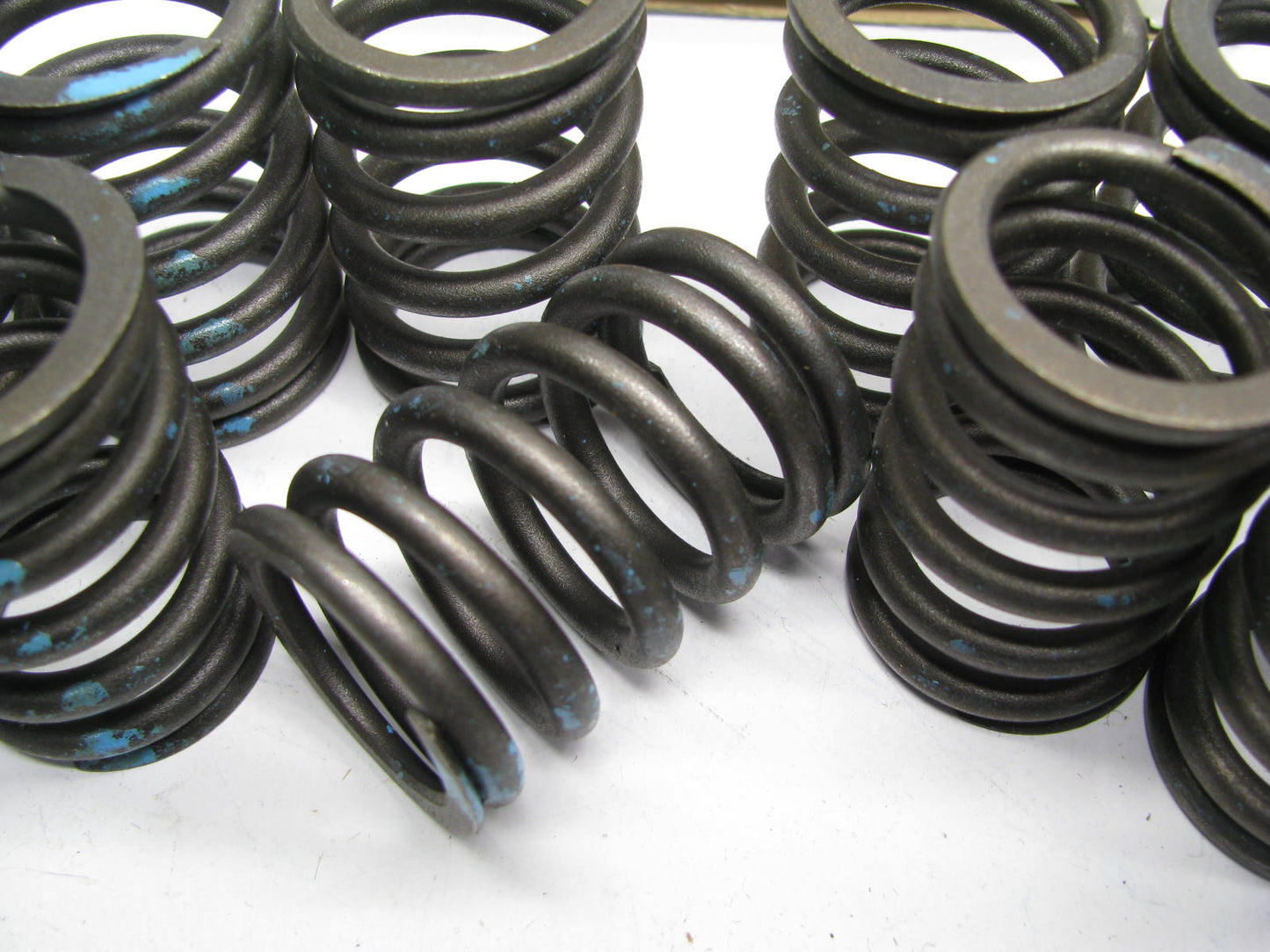 (16) TRW VS1108 Intake & Exhaust Engine Valve Springs For Detroit Diesel 8.2L