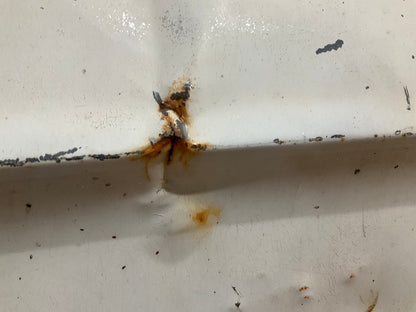 A Lot Of Rust And One Dent - USED 1967-1968 Ford Mustang Coupe Right Door