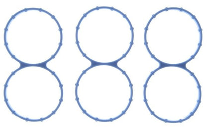 Victor Reinz MS19219 Fuel Injection Plenum Gasket Set 2001-08 Ford Mazda 3.0L-V6
